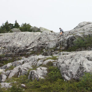 Meet your Posher, Ilse